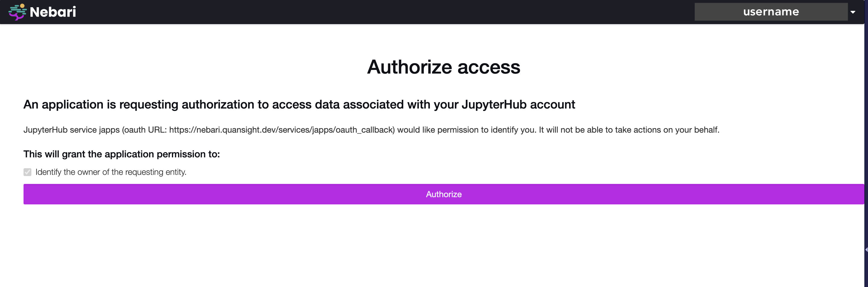 Authorize access page with an 'Authorize' button requesting access for JHub Apps, which is a Jupyter Service, to identify the user.